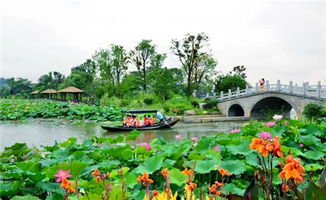 重磅消息 索河金龙水寨景区被评为国家4A景区